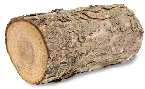 Wood Log Png