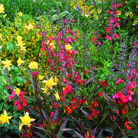 More wildlife-friendly plants - Sunset Magazine