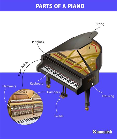 Parts Of A Piano Explained With Illustrated Diagram Homenish | atelier
