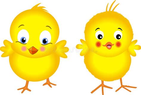 Yellow Chicks Stock Vector Illustration Of Vector Beak 27571298