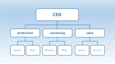 Functional Organizational Structure Template