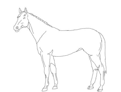 Explore this large gallery of horse outline images, drawings and pictures and use it in your creative you can take these horse outline images, clipart and pictures as a reference for your creative crafts. outline horse standing drawing - Clip Art Library