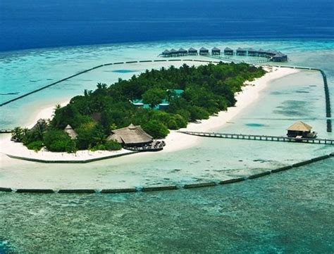 Paradisul Din Insulele Maldive Top Info News