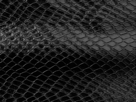 47 Black Snake Skin Wallpaper