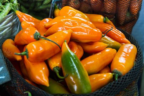 Types Of Fresh Chile Peppers