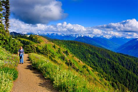 Hiking Hurricane Hill Trail In Summer Olympic National Park Trips