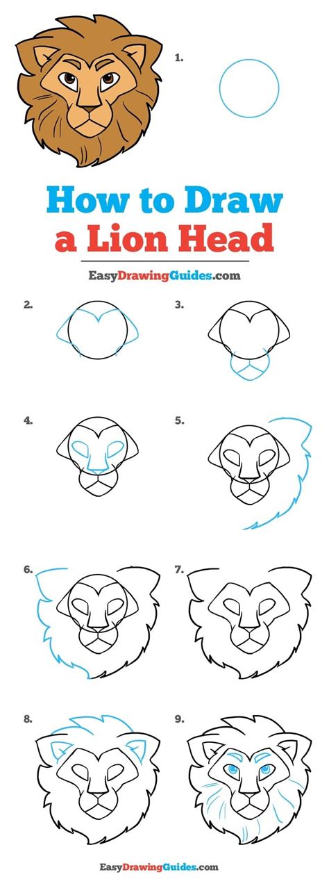 How To Draw A Lion Is Head
