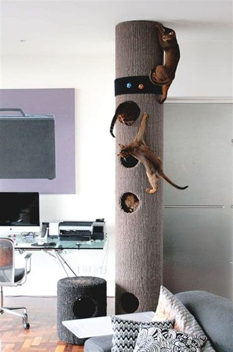 Sophisticated Modern Cat House Images Best Idea Home Design