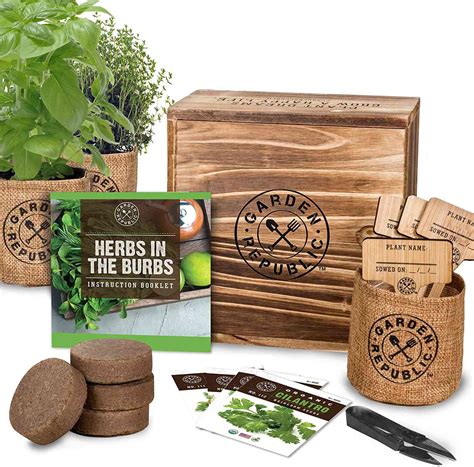 The 8 Best Herb Garden Kits Of 2022 By The Spruce