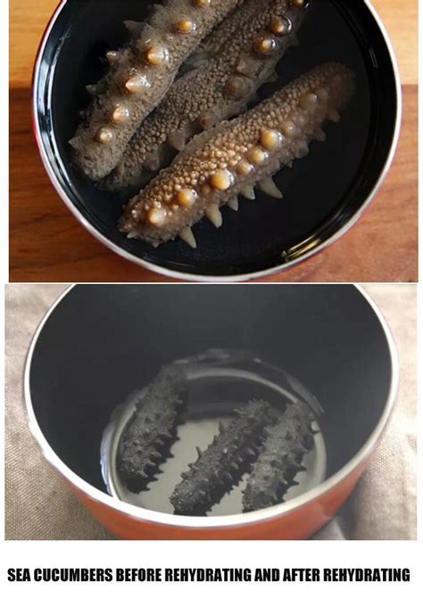 Cats are quick to react to anything in which they feel is a threat. How to Rehydrating and Clean Sea Cucumbers (With Recipe ...