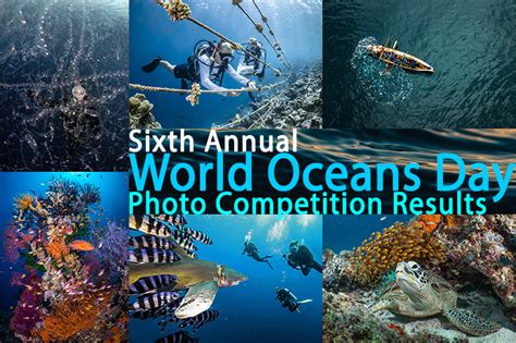 Announcing The Winners Of The Sixth World Oceans Day Photo Contest