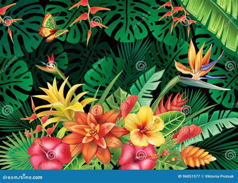 Illustration With Tropical Plants Stock Vector Illustration Of Nature