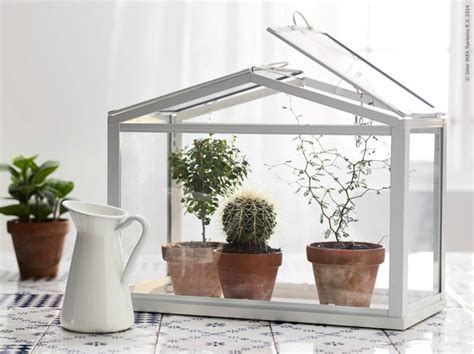 Goldwyn merth told insider she wasn't the first person to transform an ikea cabinet into a greenhouse. IKEA's mini-greenhouse lets you grow your favourite plants all year round