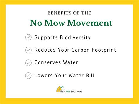 No Mow Month Purpose Benefits And More Best Bee Brothers