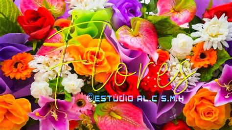 Flores Youtube