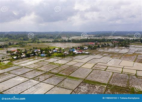 Philippine Village And Rice Fields Flooded With Water Stock Photo