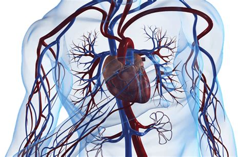 Early Cardiac Catheterization And Pci In Cardiac Arrest With Rosc Emra