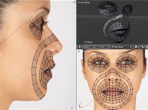 edge loops face topology 3d face model maya modeling