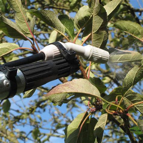 Older standard apples may grow beyond the ability of homeowners to tend properly and bear many unwanted small wormy apples. 5 Metre Tree & Fruit Bush spraying kit. 5 lt Sprayer - HG ...