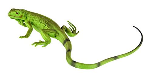 Safari Ltd Incredible Creatures Collection 94 X 4 Iguana Baby