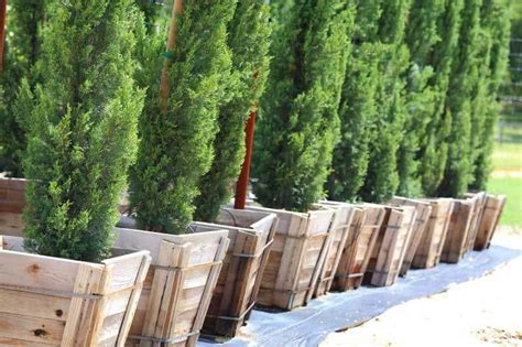 You'll need to buy heaviest bamboo fence rolls and follow the directions they show here. Privacy Screen Ideas: Tips For Creating Privacy In Your ...