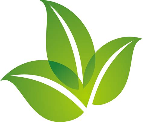 Leaf Logo Spring Green Leaf Logo Design Png Download 32332758