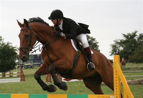 Show Jumping 1 Free Photo Download Freeimages