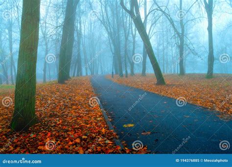 Autumn November Foggy Landscape Deserted Autumn Park With Bare Autumn