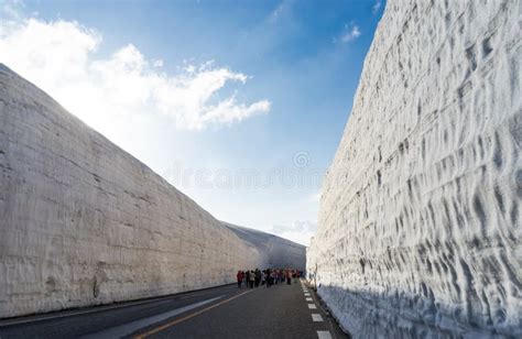 Beautiful Landscape View Of Giant Snow Wall Tateyama Alpine Route