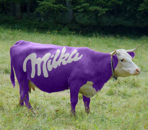 Милка Milka бренд молочного шоколада принадлежащий компании Kraft