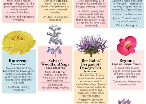 Flower Names And Their Meanings