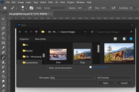 Photoshop Basics Getting To Know The Photoshop Interface