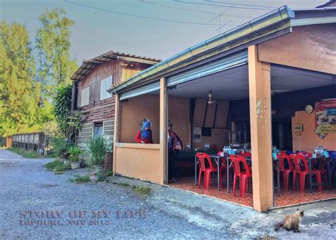 Wisata bunga matahari yang terletak di daerah lopburi. Story of My Life: Lopburi Bunga Matahari
