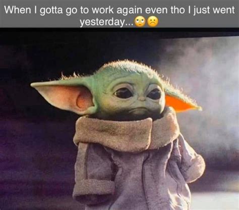 Sanctuary, and it's a hoot: yoda-work-yesterday in 2020 | Yoda meme, Star wars baby ...