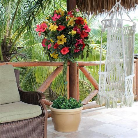 Pruning hibiscus plants and roots. Pin on Landscape design