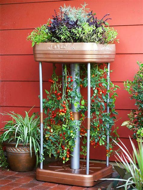 19 Ways To Grow Vegetables In Containers That Will Look As Gorgeous As