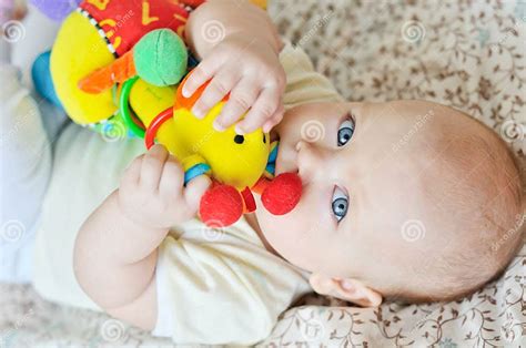 Baby Biting A Toy Stock Image Image Of Plastic Cropped 34777917