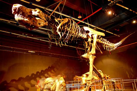 The planetarium is an entire complex which comprises an information center, an observation gallery, a space theatre, a park of ancient. National Planetarium Kuala Lumpur, Malaysia - Tourist ...