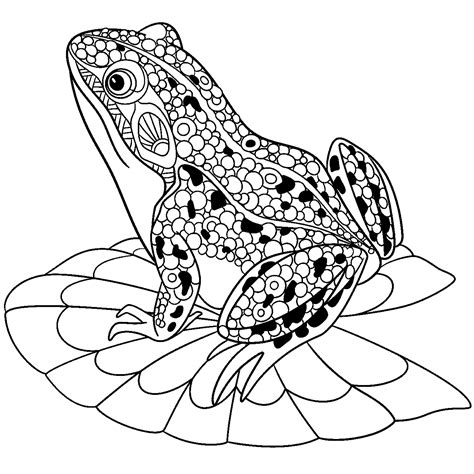 Zentangle Stylized Frog Frogs Kids Coloring Pages