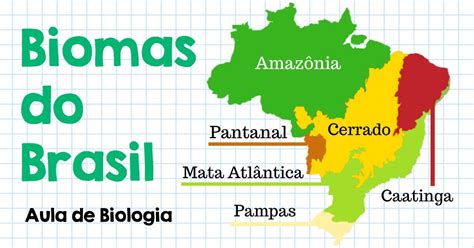 Biomas brasileiros características de cada bioma Resumo Biologia Enem