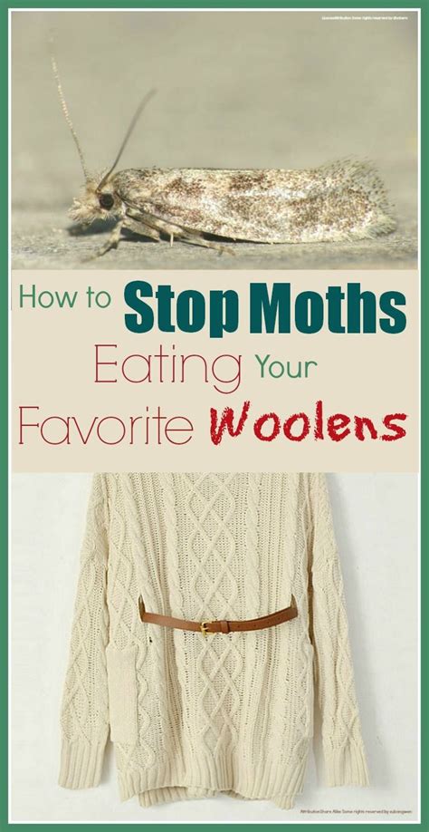 Mums Make Lists How To Get Rid Of Moths Getting Rid Of Moths Moth Easy House Cleaning