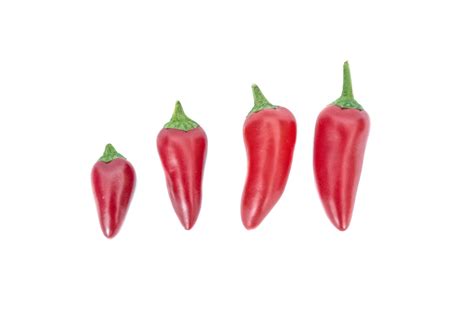 Red Chili Peppers Free Stock Photo Public Domain Pictures