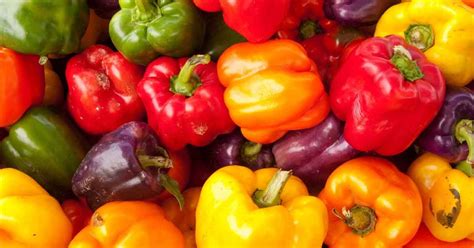 Takes out more than 50. Growing Your Own Bell Peppers | Stuffed peppers, Growing ...