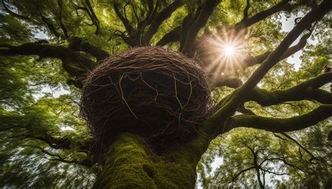 Exploring The Different Types Of Bird Nests A Guide For Nature