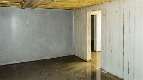 7 Step Guide To A Dry Basement