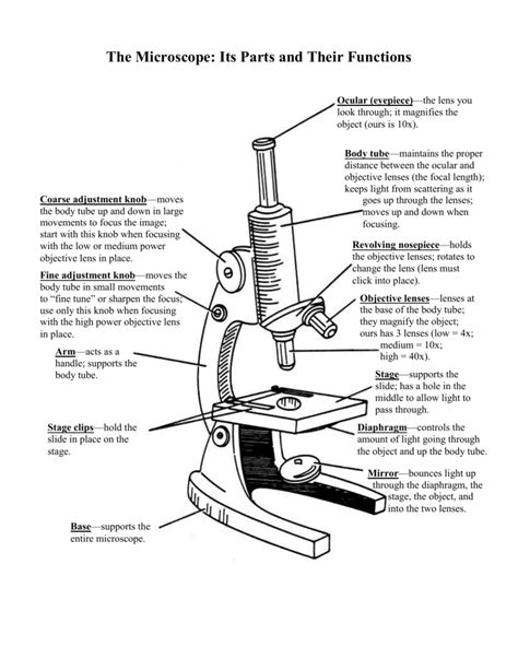 The Microscope Its Parts And Their Functions Biology Lesson Plans