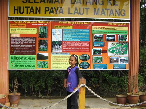 Maybe you would like to learn more about one of these? Si Kembang Cina...: Hutan Paya Bakau- Matang Taiping