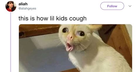 The Coughing Cat Is Maybe The Last Meme To Win The