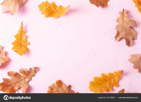Fall Leaves Pink Flat Lay Frame Autumn Background — Stock Photo