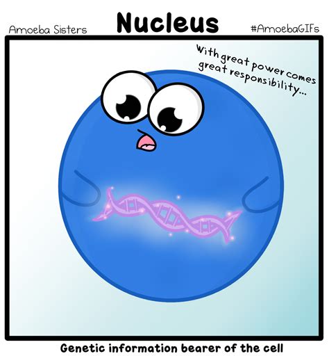 Barn animalsbears and pandasbirdsbutterfliescatschickens and turkeysdeer and moosedinosaursdogs. Nucleus GIF by SarinaSunbeam on DeviantArt